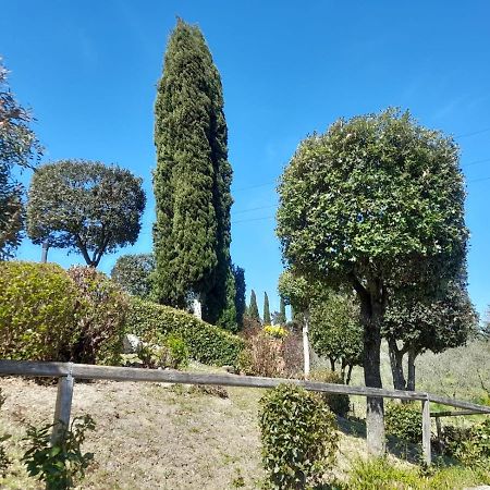 Villetta Dei Lecci 卡斯泰尔菲奥伦蒂诺 外观 照片